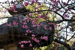 110122�¹���������