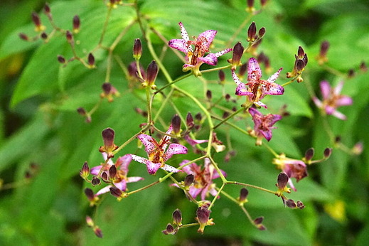 211016���һ��ۥȥȥ���