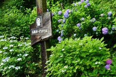 120619¾ô̯»û¥¢¥¸¥µ¥¤3