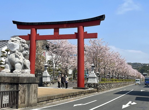 220407�ʳ륵����