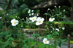 111009���������奦�ᥤ����