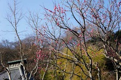 110112��§������