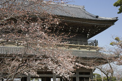 080326������������