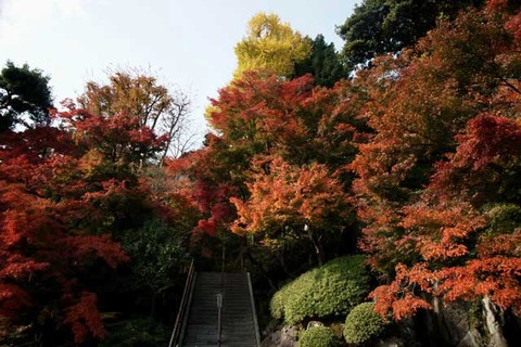 101127Ĺë������4