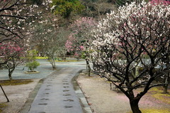 150301̯�ܻ����ᣱ