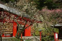 100211����ŷ������