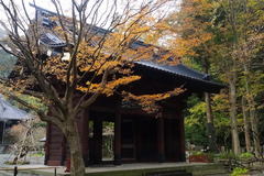 151213̯�ܻ�����5