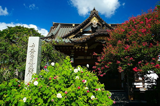 180819̯δ���ե襦