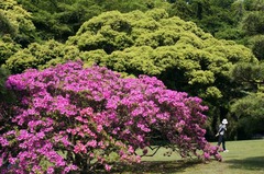 110514ʸ�شۥĥĥ�