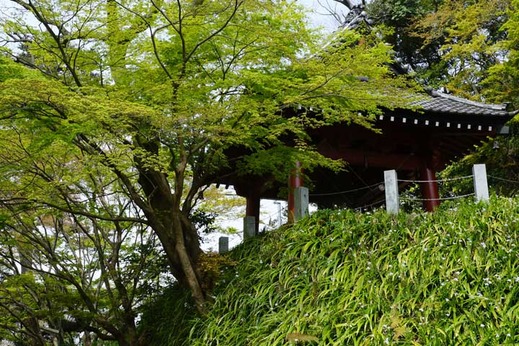 130401̯�ܻ�����