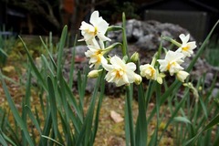 110115��Ļ���������