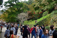 151122�߳л�����