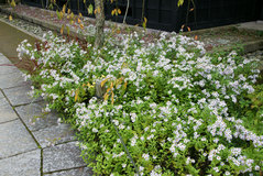 081109��Ļ��Υ���1