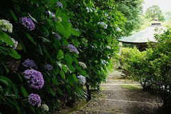 140626�¹�������������1