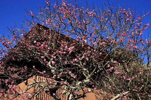 170215̯�ܻ�����