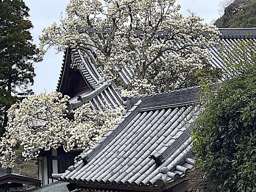 240323�߳л��ϥ��⥯���