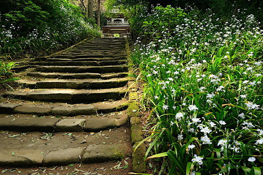 190422���һ����㥬2