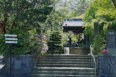 150423�¹������ĥĥ�1