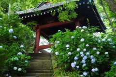 130624̯�ܻ���������2