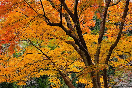 191215����������1