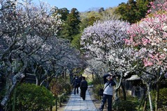 130312Åì·Ä»û¥¦¥á2