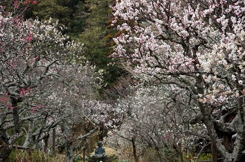 110316��Ļ�����