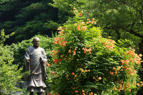 080712̯�ܻ��Υ����󥫥���