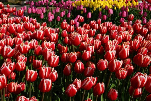 151227��������塼��å�1