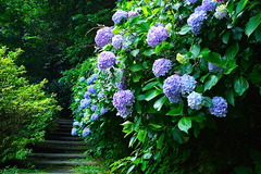 150625�¹�������������2