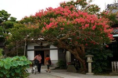 130804̯δ���ե襦2