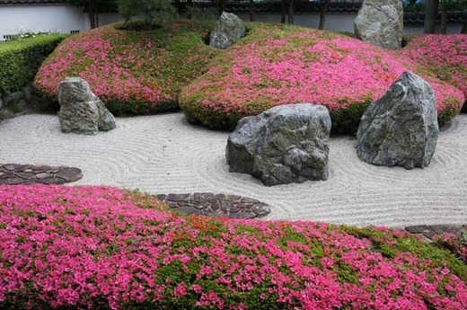 110601���������ĥ�