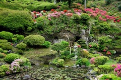 120430ʩ�Ի��ĥĥ�1