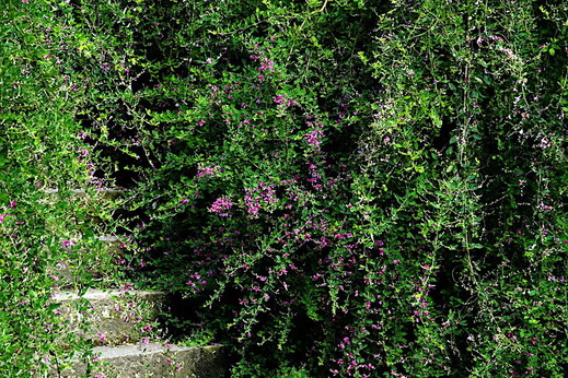 190917��¢���ϥ�1