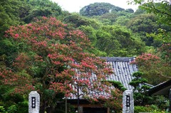 120814�ߵ׻����륹�٥�