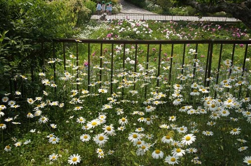 110518ζ����ե�󥹥���