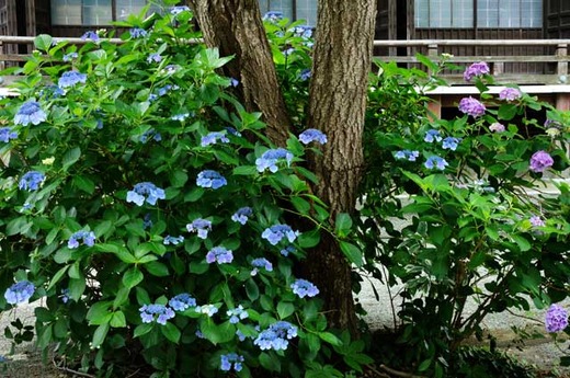 120628�ܳл���������