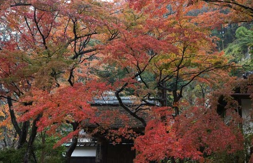 111203�߳л�����4