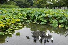 090801��ʿ�ӥϥ�