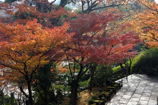 111214Ĺë������3