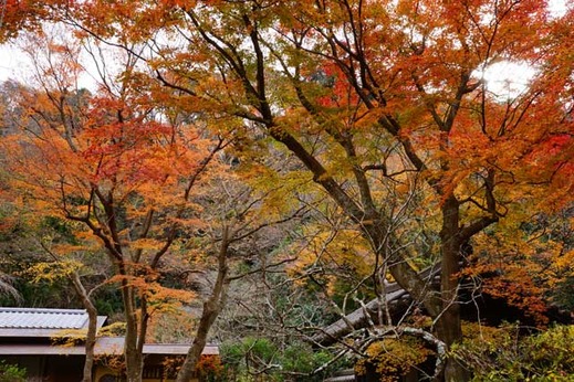 121221����������4