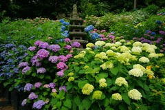 120615Ĺë����������2