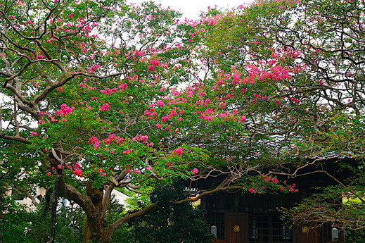 200901���������륹�٥�