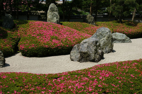 080528���������ĥ�