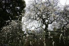 100211�����������쥦��