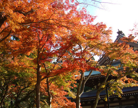 081123�߳л�����1