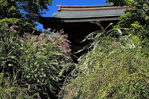 180928��¢���ϥ�