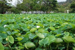 120713��ʿ�ӥϥ���