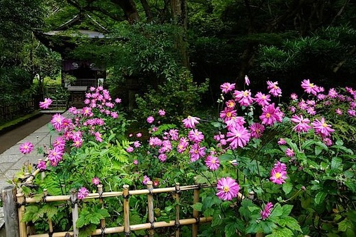 151021�߳л����奦�ᥤ����2