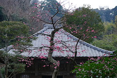 190211³¤Â¢»û¥¦¥á2
