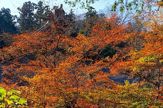 231220̯�ܻ�����3